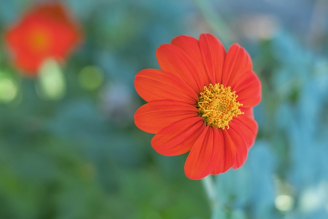 加强中场控 加强中场控