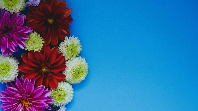 体报道的爆 体报道的爆