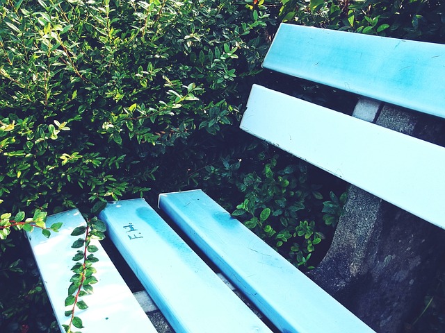 各自球队在 各自球队在