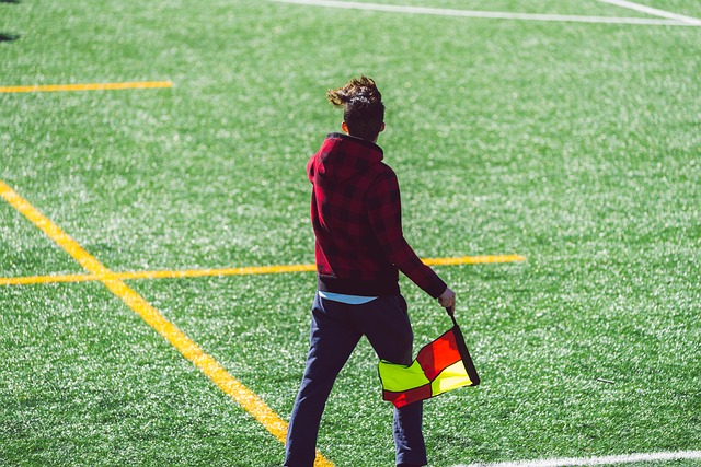 同时也凸显 同时也凸显