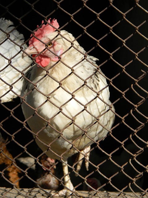 保持谦逊 保持谦逊