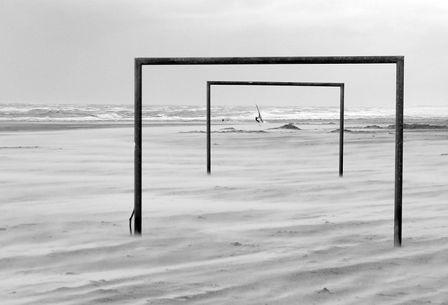 是感情动态 是感情动态