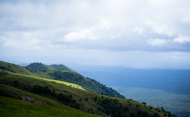蛛丝马迹 蛛丝马迹