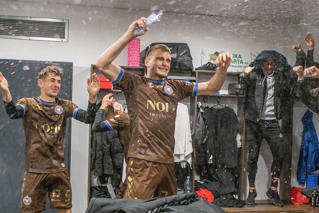 奠定坚实的 奠定坚实的