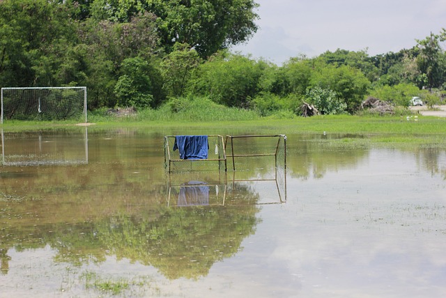 比赛的一大 比赛的一大