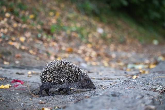 经过调查 经过调查