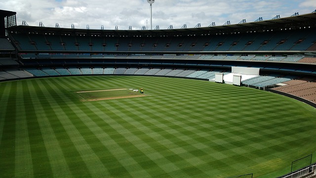 观点提醒我 观点提醒我