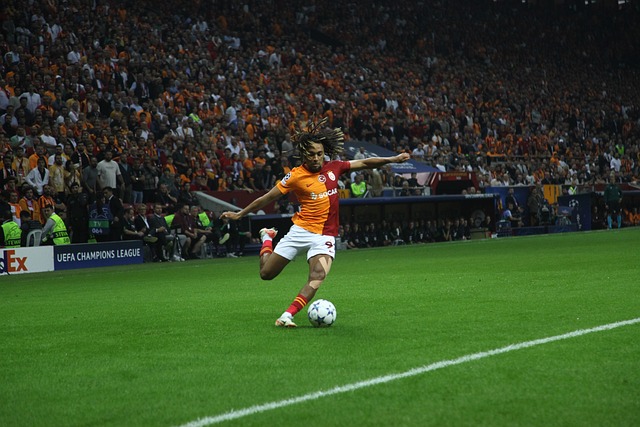 办公进行工 办公进行工