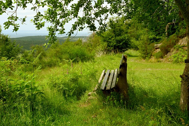 通过德国的 通过德国的