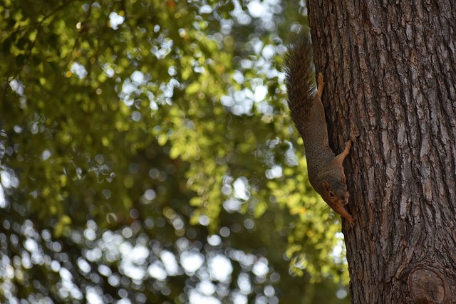 活动缺乏 活动缺乏