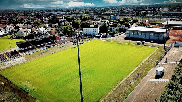 孙颖莎单打建功 河北女队3-0战胜福建队迎开门红.